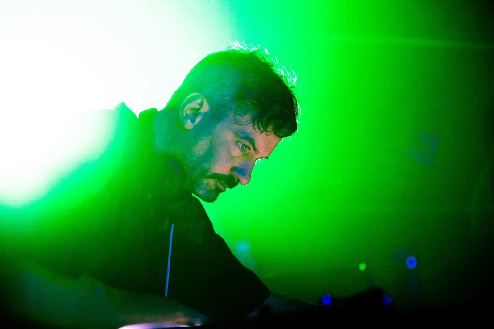 Bonobo